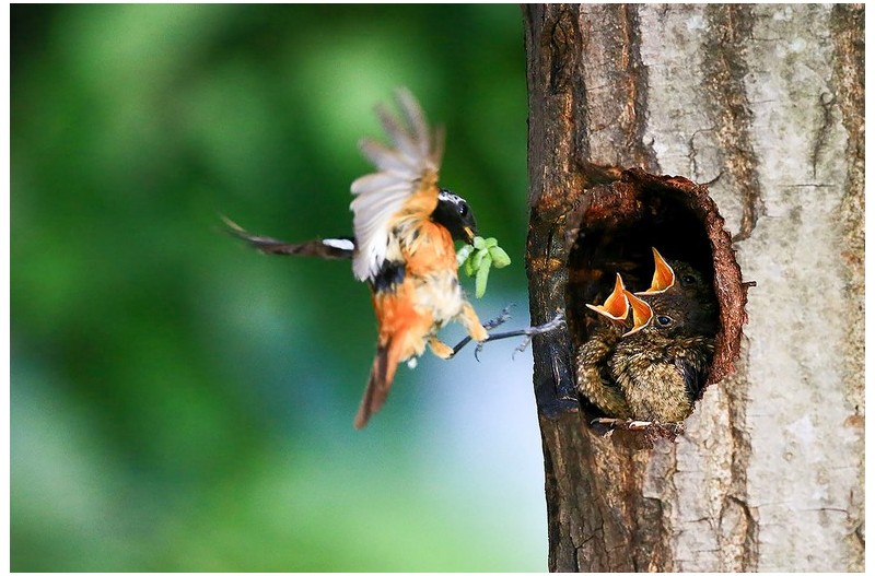 PHOTO BY WO2YA LAB  | Canon EOS-1D X Mark II  | 2024:05:29 17:49:11  | ISO-3200 | 1/8000 sec | f 7.1 | 90 mm | EV=0 | ● WIDTH:1800 pixels  HEIGHT:1200 pixels