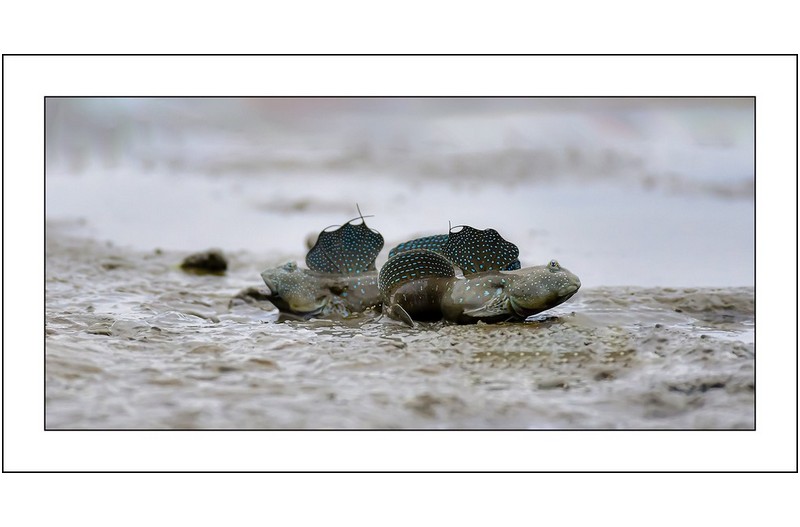   | PHOTO BY : 삿갓/정봉식  |