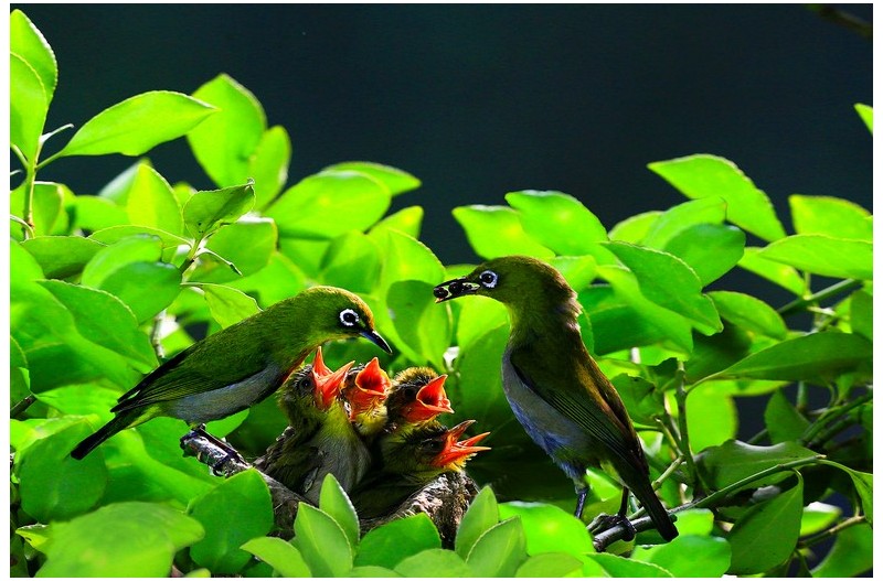 PHOTO BY WO2YA LAB  | Canon EOS-1D X Mark II  | 2024:05:29 17:49:23  | ISO-3200 | 1/8000 sec | f 7.1 | 90 mm | EV=0 | ● WIDTH:1800 pixels  HEIGHT:1200 pixels
