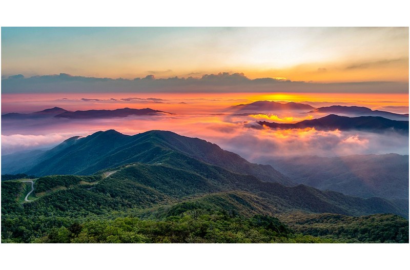 PHOTO BY  | Canon EOS 5D Mark IV  | 2023:08:01 07:53:22  | ISO-200 | 1/50 sec | f 8 | 24 mm | EV=0 | ● WIDTH:1600 pixels  HEIGHT:850 pixels