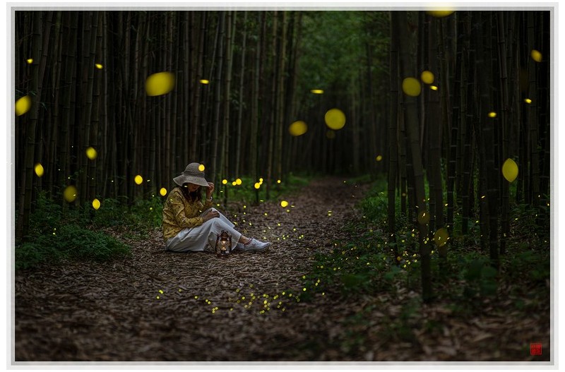 PHOTO BY  | NIKON Z 9  | 2024:06:06 18:13:32  | ISO-80 | 1/250 sec | f 2 | 85 mm | EV=0 | ● WIDTH:1500 pixels  HEIGHT:1000 pixels