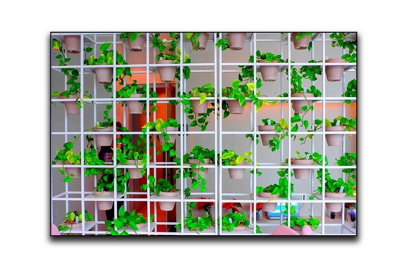 PHOTO BY  | LEICA X1  | 2024:06:03 15:05:52  | ISO-100 | 1/30 sec | f 5.6 | 24 mm | EV=0 | ● WIDTH:1436 pixels  HEIGHT:1037 pixels