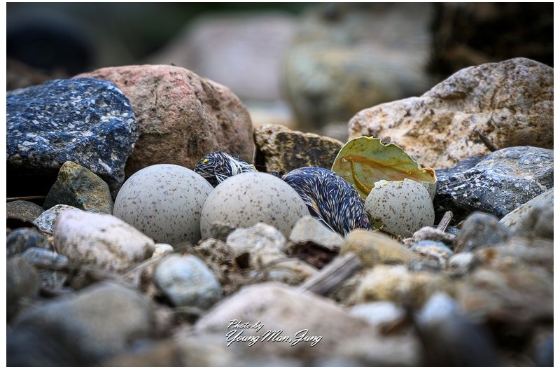  | PHOTO BY : 카파/정영만  |