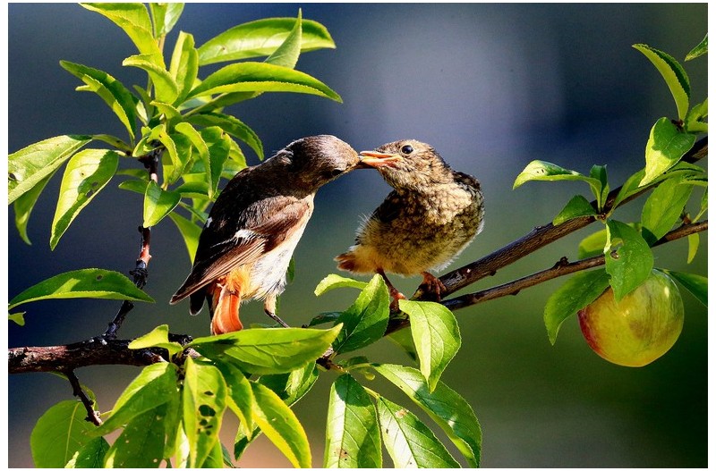 PHOTO BY WO2YA LAB  | Canon EOS-1D X Mark II  | 2024:06:04 17:50:39  | ISO-3200 | 1/8000 sec | f 7.1 | 250 mm | EV=0 | ● WIDTH:1800 pixels  HEIGHT:1200 pixels