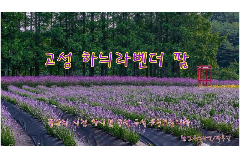   | PHOTO BY : 홀스타인/박무길  |