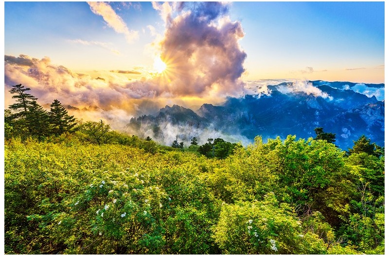 PHOTO BY  | NIKON Z 7_2  | 2024:06:02 19:21:51  | ISO-200 | 1/100 sec | f 11 | 16.5 mm | EV=0 | ● WIDTH:1200 pixels  HEIGHT:800 pixels