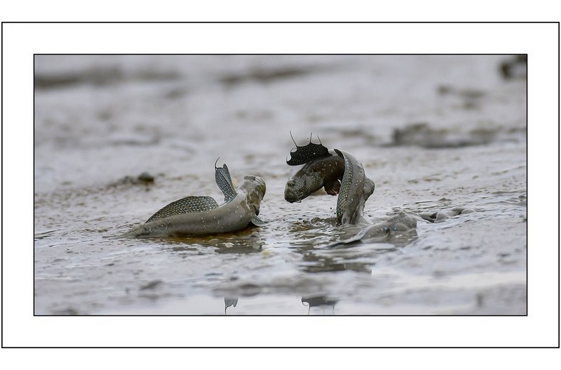   | PHOTO BY : 삿갓/정봉식  |
