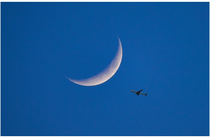 PHOTO BY ZENITHJin62  | NIKON D810  | 2024:06:10 19:46:30  | ISO-400 | 1/160 sec | f 6.3 | 600 mm | EV=0 | ● WIDTH:1500 pixels  HEIGHT:966 pixels