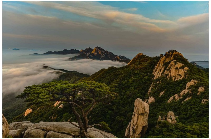 PHOTO BY Jae Ik Lee  | NIKON D850  | 2024:06:09 05:20:54  | ISO-200 | 1/100 sec | f 4 | 27 mm | EV=0 | ● WIDTH:  HEIGHT:
