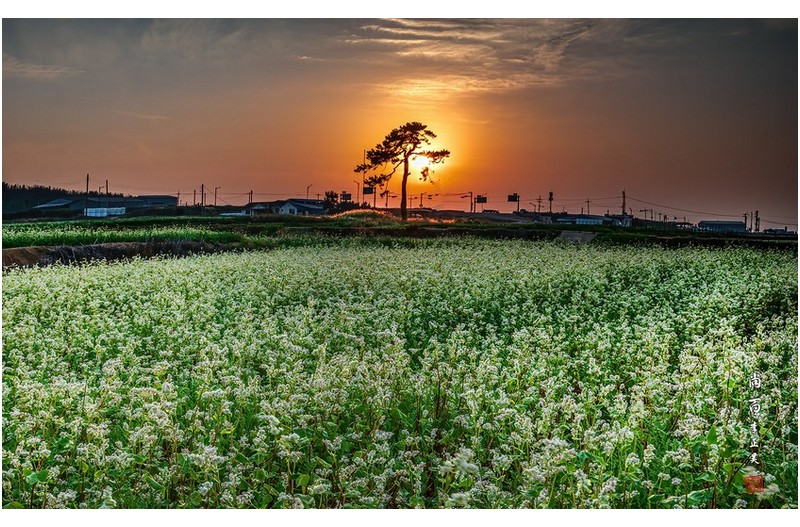 PHOTO BY  | Canon EOS 5D Mark IV  | 2024:06:12 19:15:35  | ISO-50 | 1/15 sec | f 16 | 55 mm | EV=0 | ● WIDTH:1800 pixels  HEIGHT:1111 pixels