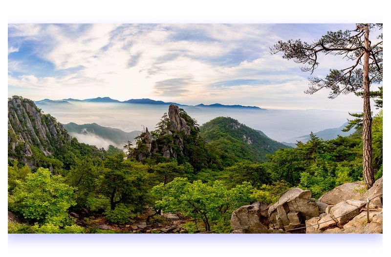 PHOTO BY PARK SEUNGWOO  | Canon EOS 5D Mark IV  | 2024:06:09 06:47:59  | ISO-100 | 1/60 sec | f 9 | 17 mm | EV=0 | ● WIDTH:1800 pixels  HEIGHT:1222 pixels