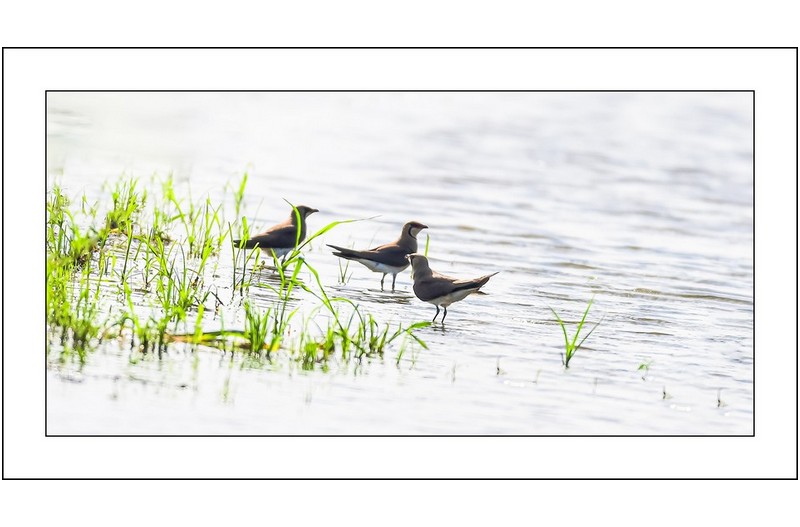   | PHOTO BY : 삿갓/정봉식  |