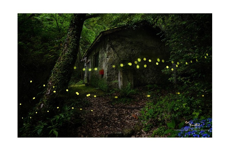 PHOTO BY  | NIKON Z 9  |  | ISO-1250 | 1/80 sec | f 2.8 | 21 mm | EV=0 | ● WIDTH:1600 pixels  HEIGHT:1231 pixels
