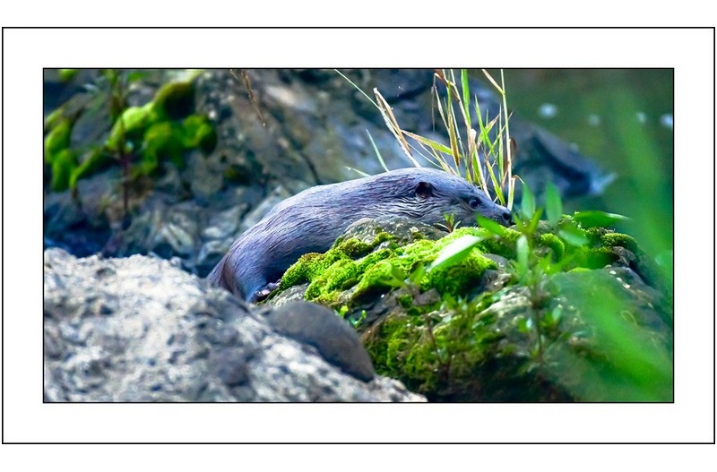   | PHOTO BY : 삿갓/정봉식  |