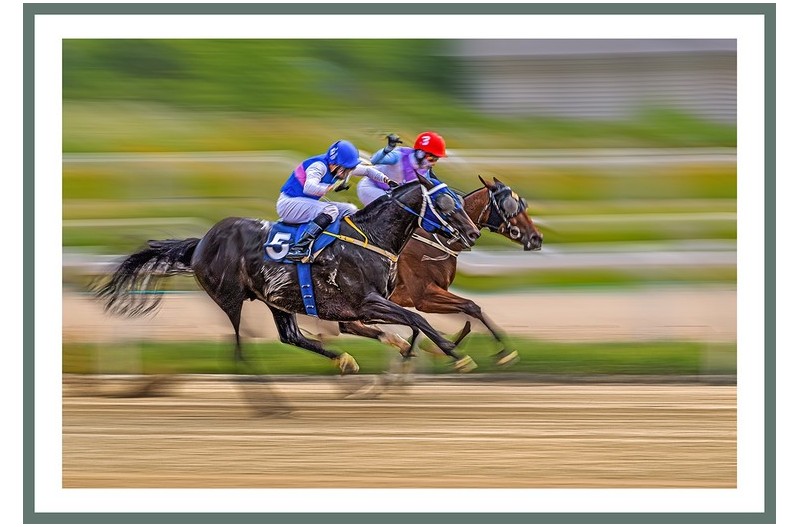 PHOTO BY  | NIKON D5500  | 2024:06:16 10:38:07  | ISO-100 | 1/45 sec | f 19 | 165 mm | EV=-0.5 | ● WIDTH:1300 pixels  HEIGHT:899 pixels