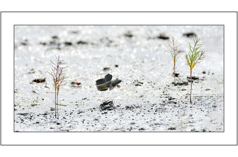   | PHOTO BY : 삿갓/정봉식  |