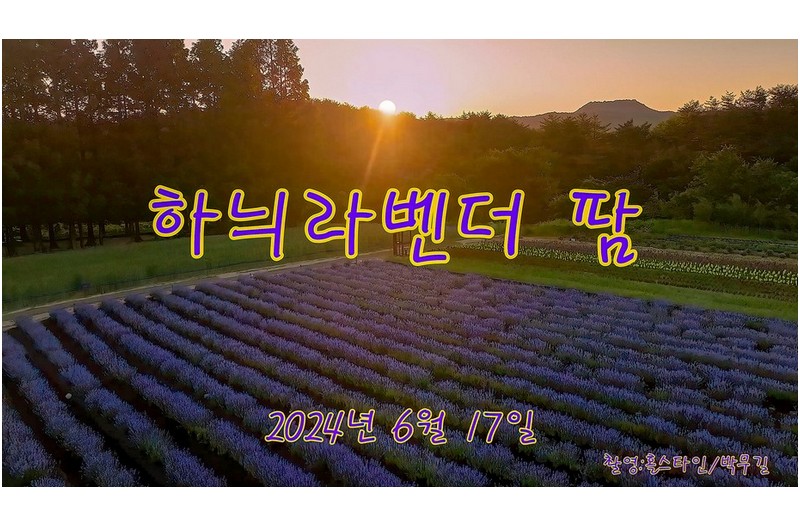   | PHOTO BY : 홀스타인/박무길  |