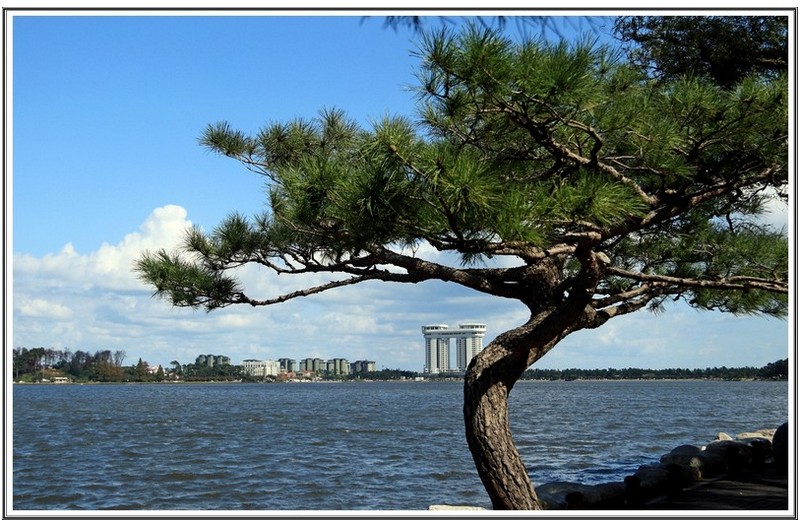 PHOTO BY      | Canon EOS 200D II  | 2024:03:31 11:03:34  | ISO-200 | 1/800 sec | f 5 | 24 mm | EV=0 | ● WIDTH:6000 pixels  HEIGHT:4000 pixels