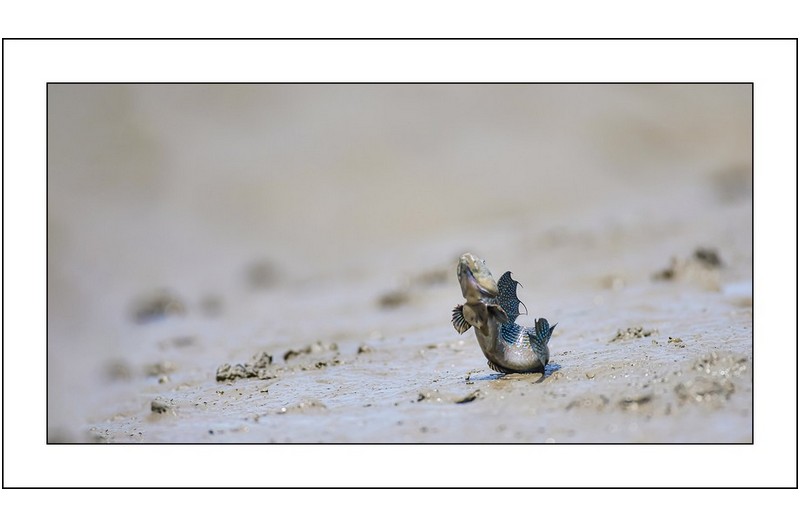   | PHOTO BY : 삿갓/정봉식  |