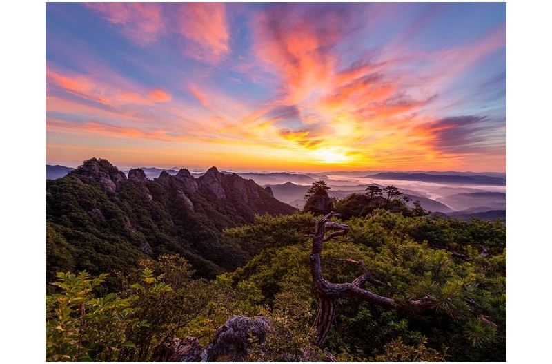 PHOTO BY  | Canon EOS 5D Mark IV  | 2023:08:14 07:35:25  | ISO-100 | 1/5 sec | f 5.6 | 16 mm | EV=0 | ● WIDTH:1600 pixels  HEIGHT:1248 pixels