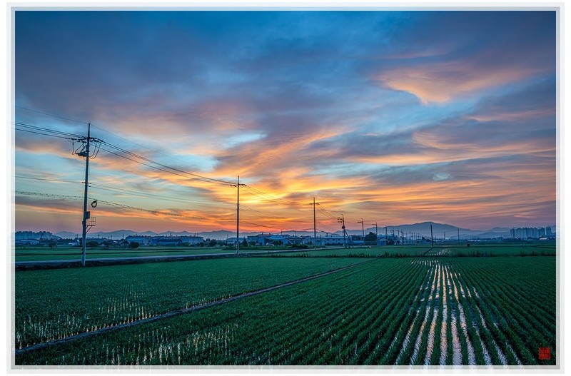 PHOTO BY  | NIKON D850  | 2024:06:20 04:51:33  | ISO-400 | 1/50 sec | f 13 | 28 mm | EV=-1 | ● WIDTH:1500 pixels  HEIGHT:1000 pixels