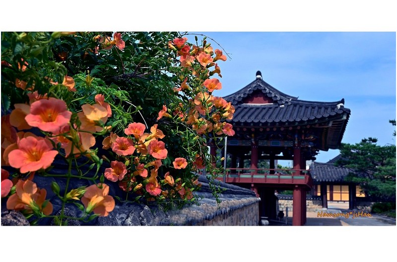 PHOTO BY HAN_JONGSOO  | NIKON Z fc  | 2024:06:21 16:10:35  | ISO-100 | 1/800 sec | f 4.5 | 22 mm | EV=-1.3 | ● WIDTH:1800 pixels  HEIGHT:885 pixels