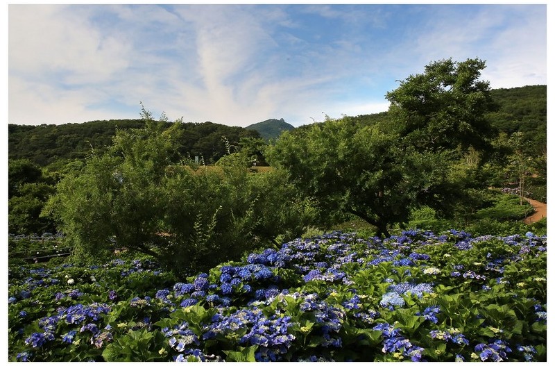   | PHOTO BY : 몰운대/조태열  |