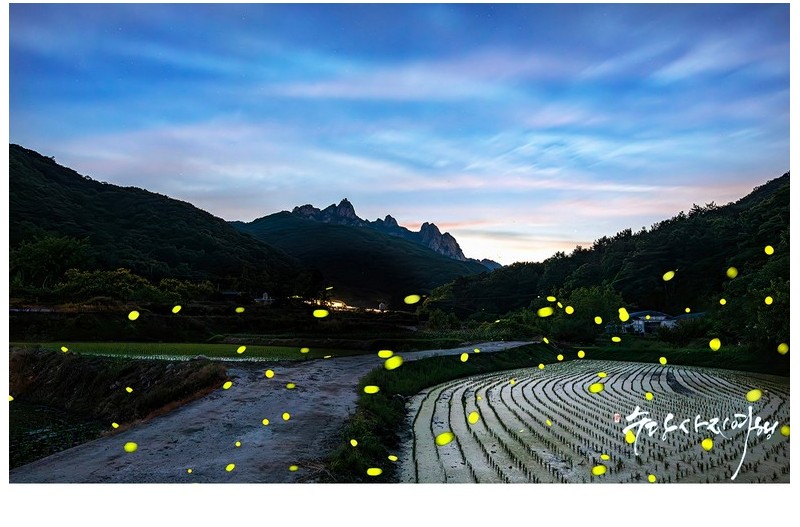 PHOTO BY Park Sang Don  | Canon EOS 5D Mark IV  | 2024:06:02 21:04:33  | ISO-800 | 20/1 sec | f 5.6 | 27 mm | EV=0 | ● WIDTH:1300 pixels  HEIGHT:867 pixels