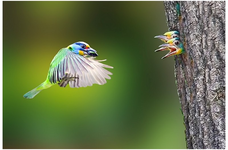PHOTO BY HNalim  | Canon EOS 7D Mark II  | 2024:06:22 13:39:45  | ISO-100 | 1/500 sec | f 4.5 | 100 mm | EV=0 | ● WIDTH:1800 pixels  HEIGHT:1200 pixels