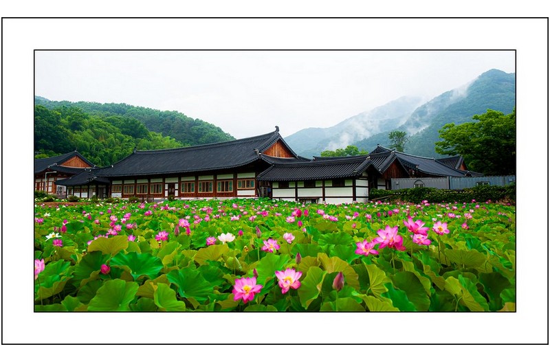  | PHOTO BY : 삿갓/정봉식  |
