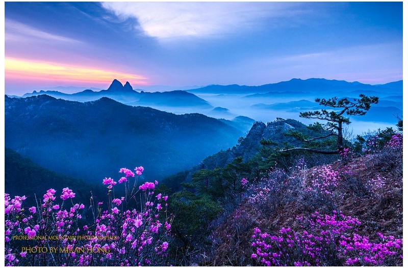 PHOTO BY Hong Mi Ran  | NIKON D850  | 2024:04:06 05:48:41  | ISO-250 | 4/1 sec | f 13 | 19 mm | EV=-1.3 | ● WIDTH:1366 pixels  HEIGHT:911 pixels
