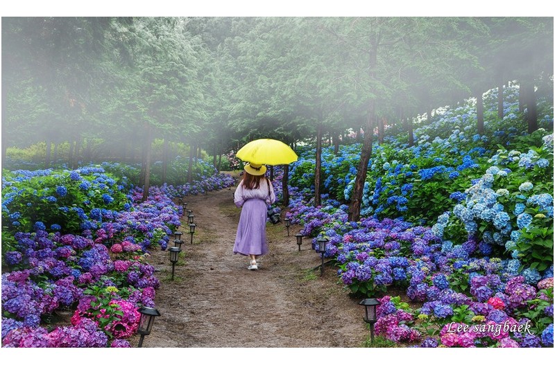 PHOTO BY  | Canon EOS 5D Mark IV  | 2024:06:23 08:08:57  | ISO-320 | 1/13 sec | f 11 | 55 mm | EV=0 | ● WIDTH:1800 pixels  HEIGHT:1081 pixels