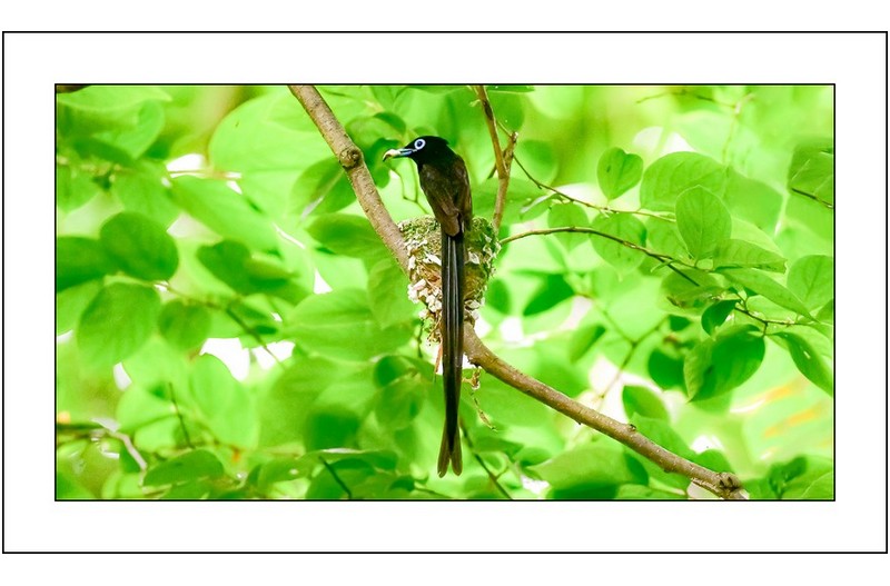   | PHOTO BY : 삿갓/정봉식  |