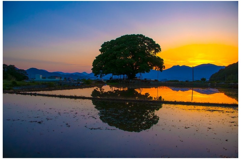 PHOTO BY  | NIKON D850  | 2024:05:19 18:58:46  | ISO-400 | 1/1600 sec | f 5.6 | 28 mm | EV=0 | ● WIDTH:1700 pixels  HEIGHT:1133 pixels