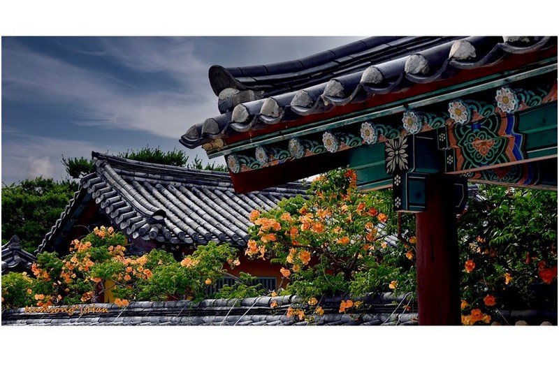 PHOTO BY HAN_JONGSOO  | NIKON Z fc  | 2024:06:21 15:24:26  | ISO-180 | 1/1250 sec | f 5.6 | 41 mm | EV=-1.3 | ● WIDTH:1800 pixels  HEIGHT:939 pixels