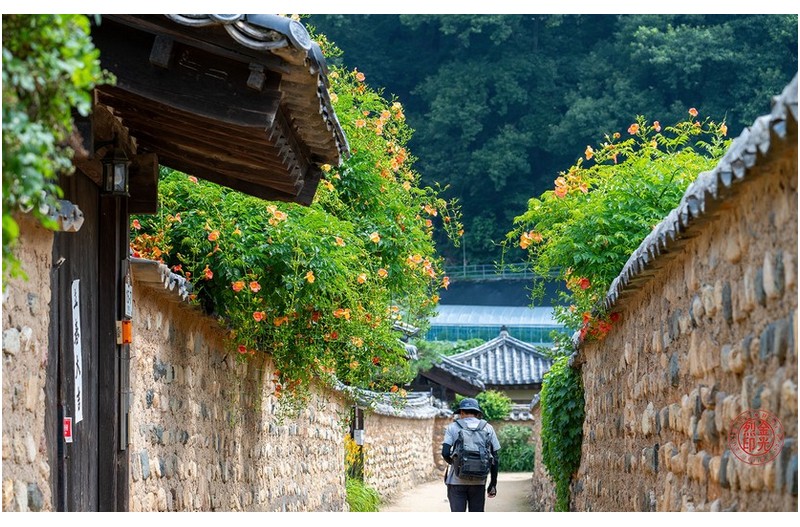 PHOTO BY KKY_CWANG_YEOL  | NIKON Z 8  | 2024:06:24 10:00:54  | ISO-250 | 1/320 sec | f 6.3 | 110 mm | EV=0 | ● WIDTH:1700 pixels  HEIGHT:1063 pixels