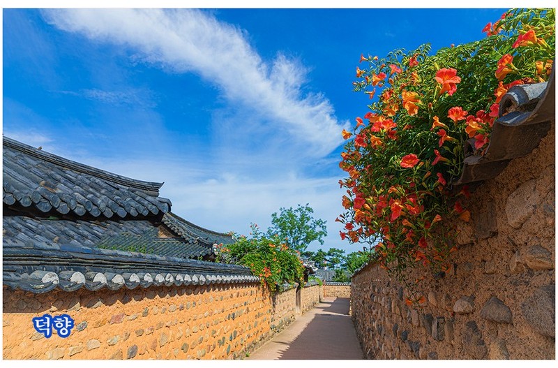 PHOTO BY  | Canon EOS-1D X Mark II  | 2024:06:25 08:20:04  | ISO-100 | 3/10 sec | f 7.1 | 24 mm | EV=0 | ● WIDTH:1200 pixels  HEIGHT:764 pixels