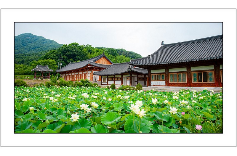   | PHOTO BY : 삿갓/정봉식  |