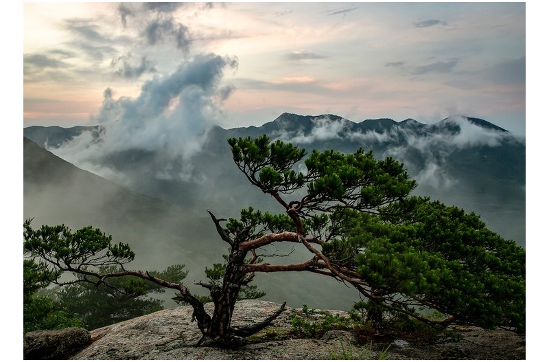 PHOTO BY MINKYUKIM  | Canon EOS 5D Mark III  | 2024:06:23 19:19:50  | ISO-200 | 1/50 sec | f 5.6 | 28 mm | EV=0 | ● WIDTH:1600 pixels  HEIGHT:1139 pixels