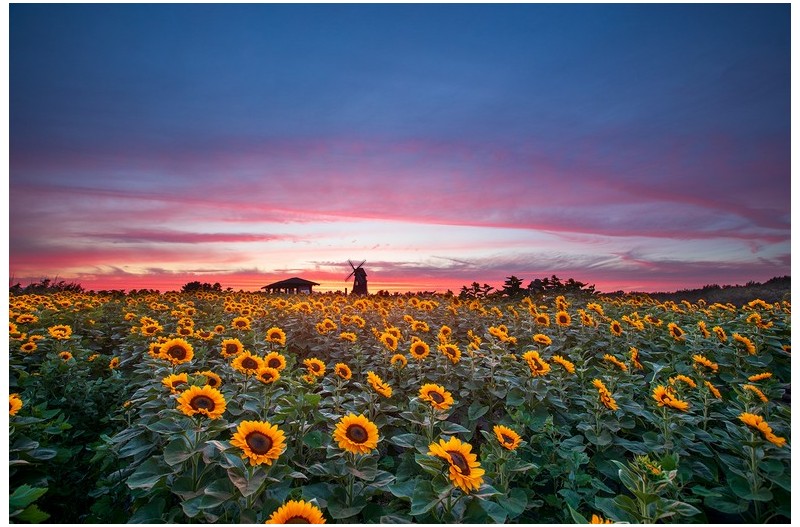 PHOTO BY  | Canon EOS 5D Mark IV  | 2024:06:25 19:59:25  | ISO-400 | 1/6 sec | f 8 | 16 mm | EV=0 | ● WIDTH:1500 pixels  HEIGHT:1000 pixels