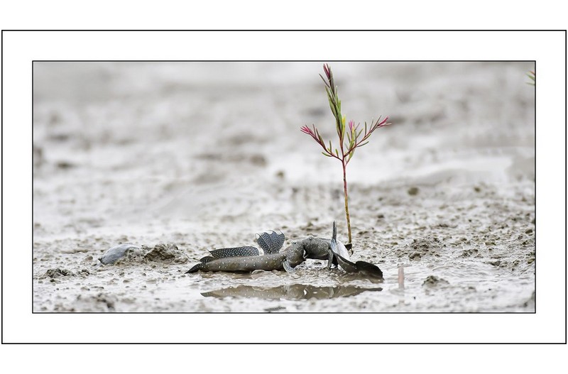  | PHOTO BY : 삿갓/정봉식  |