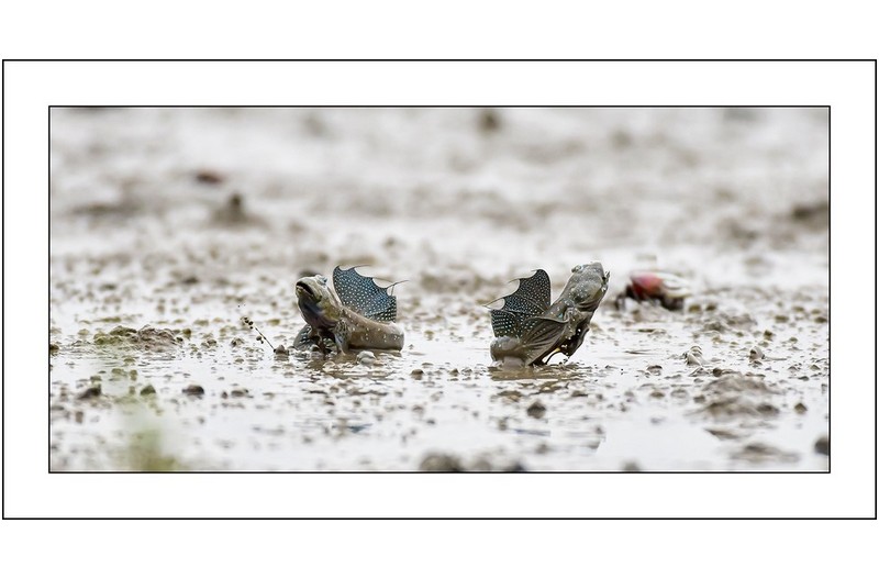   | PHOTO BY : 삿갓/정봉식  |