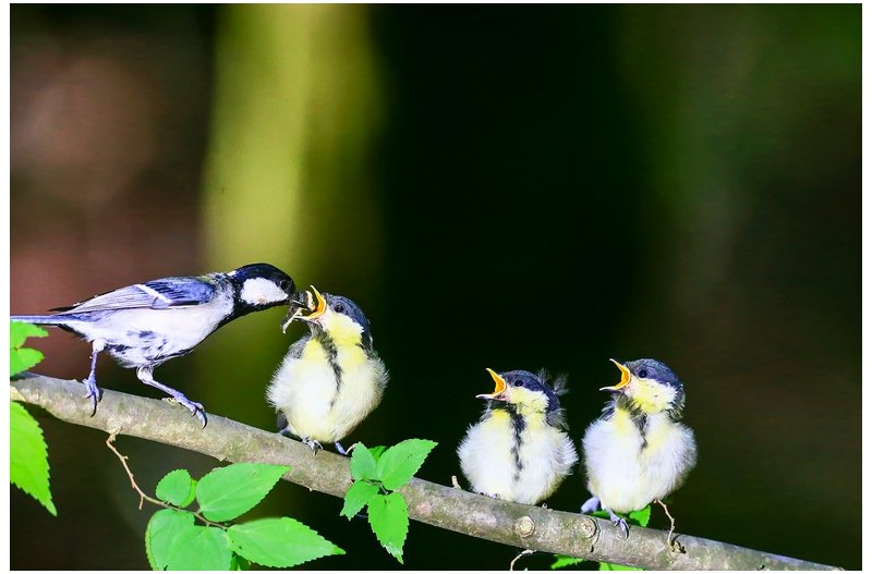 PHOTO BY HNalim  | Canon EOS 7D Mark II  | 2024:06:22 13:44:21  | ISO-100 | 1/500 sec | f 4.5 | 100 mm | EV=0 | ● WIDTH:1800 pixels  HEIGHT:1200 pixels