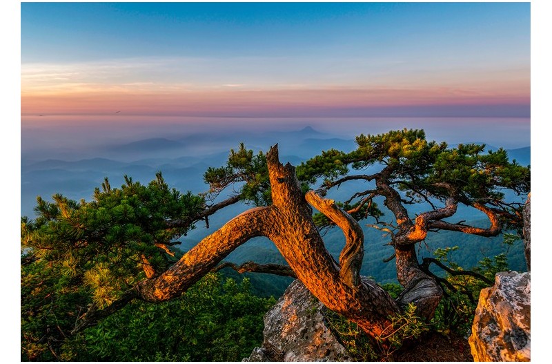 PHOTO BY MINKYUKIM  | Canon EOS 5D Mark III  | 2024:06:29 04:54:54  | ISO-200 | 1/125 sec | f 4 | 21 mm | EV=0 | ● WIDTH:1600 pixels  HEIGHT:1128 pixels