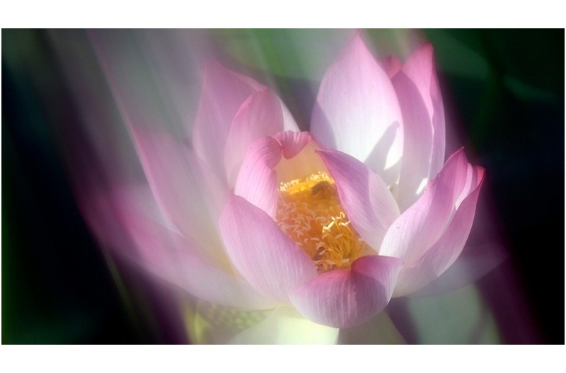PHOTO BY HAN_JONGSOO  | NIKON Z fc  | 2024:06:28 07:13:17  | ISO-100 | 1/500 sec | f 6.3 | 140 mm | EV=-0.7 | ● WIDTH:1800 pixels  HEIGHT:1011 pixels