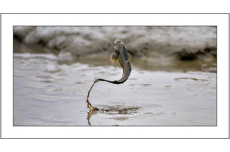  | PHOTO BY : 삿갓/정봉식  |