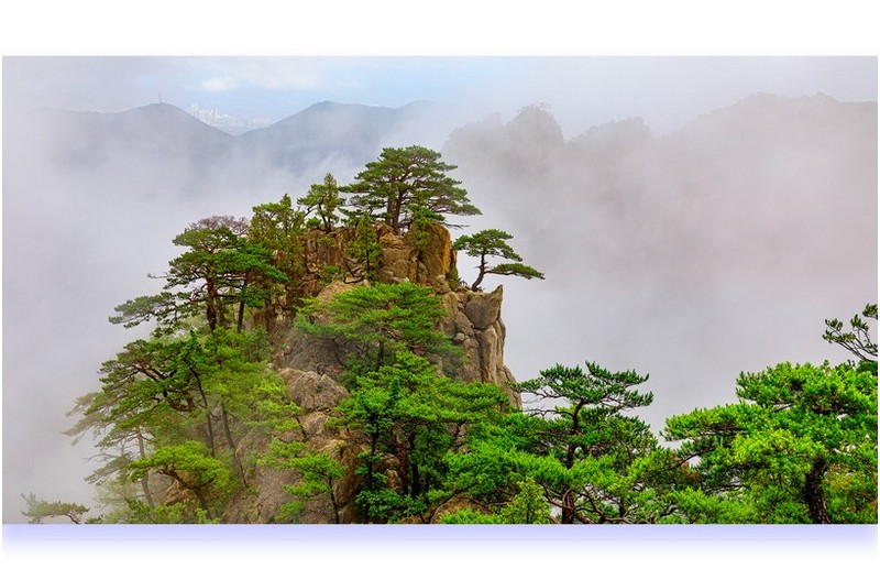 PHOTO BY photographer
PARK SEUNGWOO
S.KOREA  | Canon EOS 5D Mark IV  | 2021:07:17 14:41:51  | ISO-125 | 1/125 sec | f 9 | 41 mm | EV=0 | ● WIDTH:2400 pixels  HEIGHT:1535 pixels