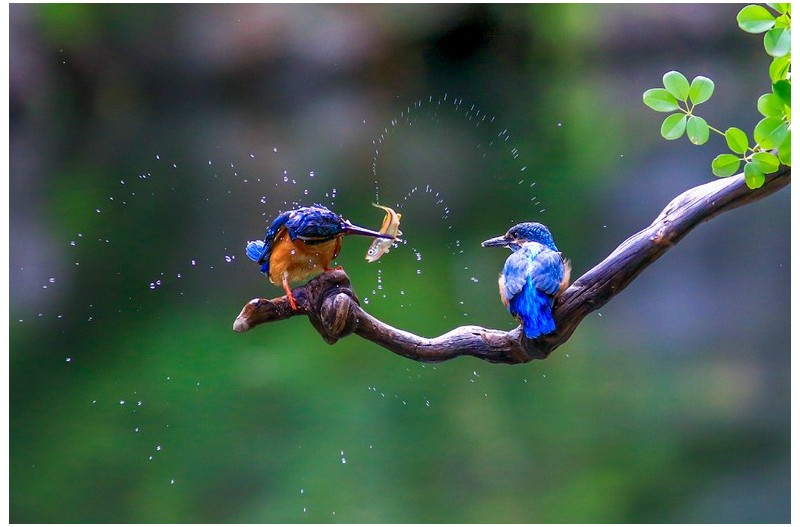 PHOTO BY  |           Canon Canon |  | ISO- |  |  |  | EV=0 | ● WIDTH:  HEIGHT: