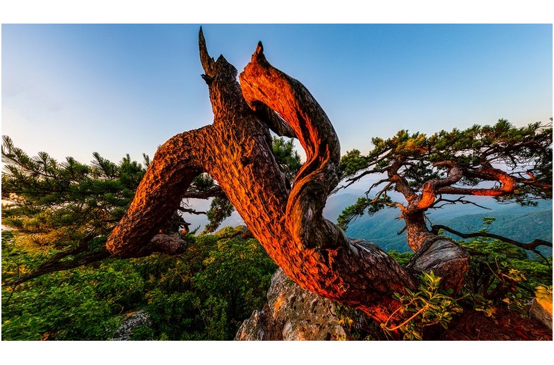 PHOTO BY MINKYUKIM  | Canon EOS 5D Mark III  | 2024:06:29 04:58:38  | ISO-200 | 1/80 sec | f 5.6 | 16 mm | EV=0 | ● WIDTH:1600 pixels  HEIGHT:921 pixels