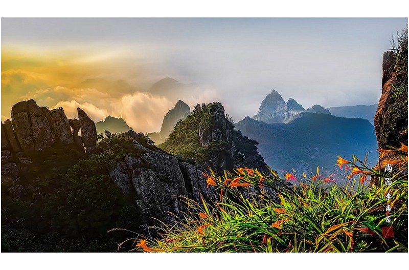 PHOTO BY  | Canon EOS 5D Mark IV  | 2021:07:31 06:10:16  | ISO-400 | 1/160 sec | f 11 | 27 mm | EV=0 | ● WIDTH:1800 pixels  HEIGHT:1039 pixels